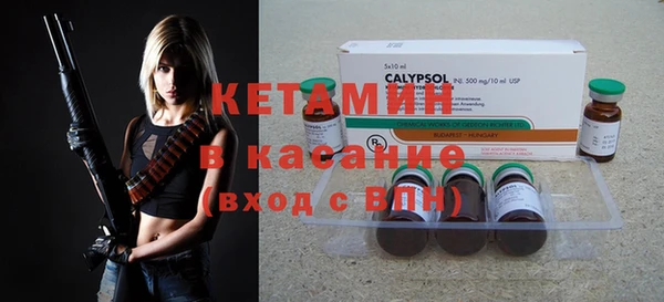 стаф Вязьма