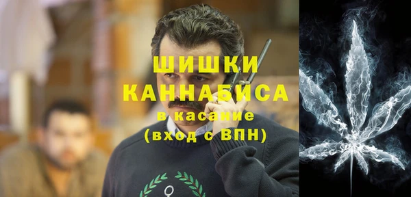 стаф Вязьма