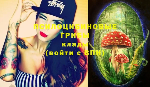 стаф Вязьма