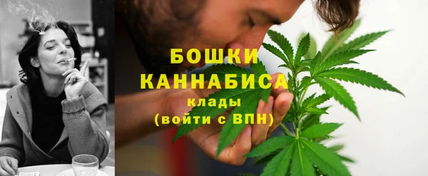 винт Вяземский