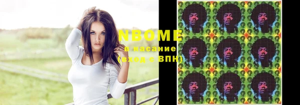 стаф Вязьма