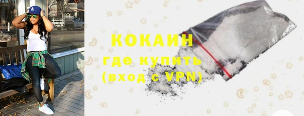 стаф Вязьма