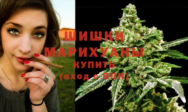 стаф Вязьма