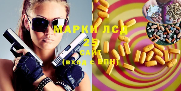 стаф Вязьма