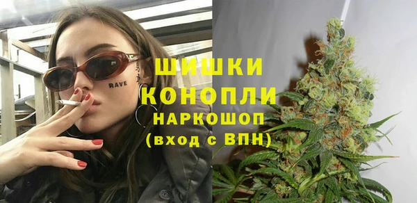 стаф Вязьма