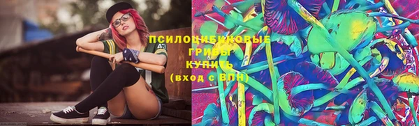 винт Вяземский