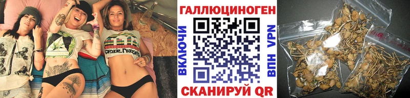 продажа наркотиков  Юрга  Псилоцибиновые грибы Cubensis 