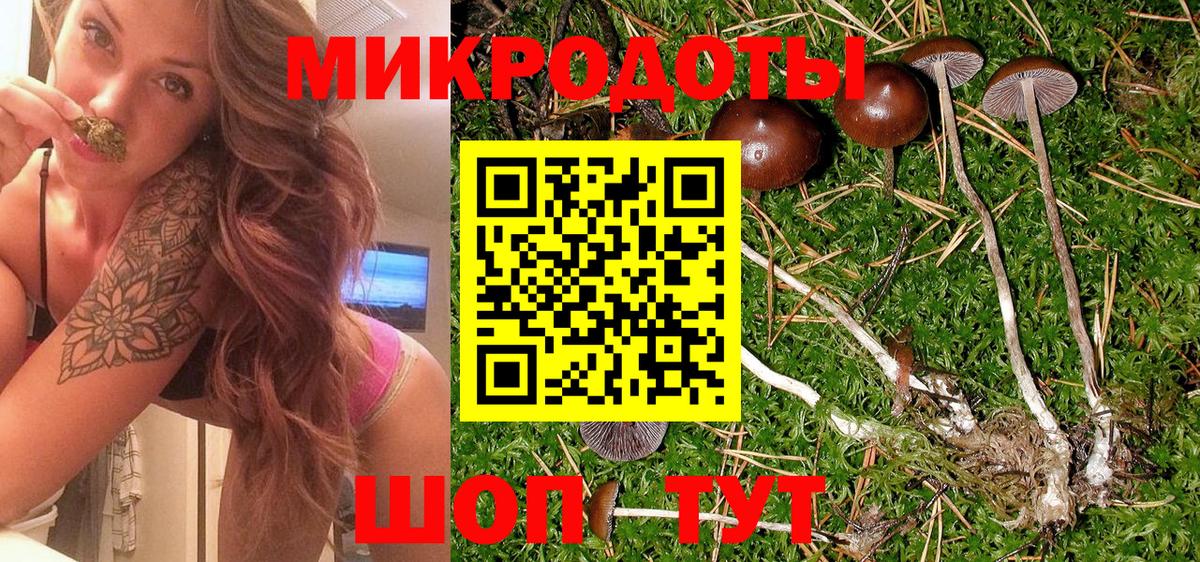 Галлюциногенные грибы MAGIC MUSHROOMS  купить наркотик  Юрга  Вход с VPN 